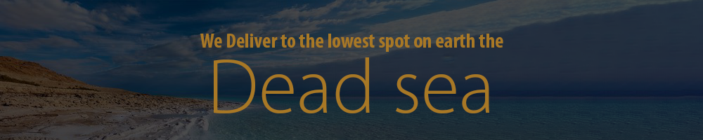 promo_banner.jpg